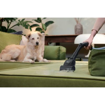 32. Hoover HE120PET 011 7809079 2.5L Vacuum Cleaner Dry 700W Dust Bag