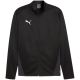 9. Puma TeamGoal Training Jacket M 658633 03