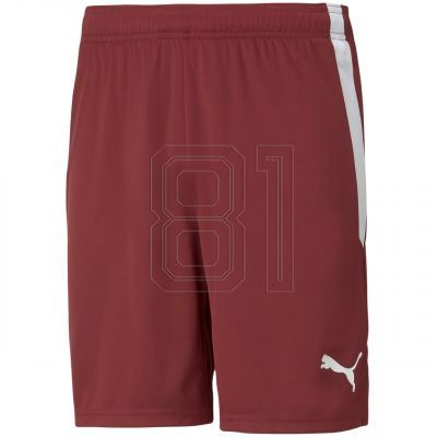 Puma teamLIGA M 704924 09 shorts