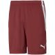 Puma teamLIGA M 704924 09 shorts