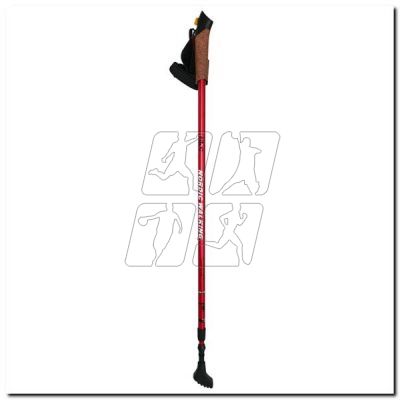 7. Nordic Walking Poles Nils Extreme NW607 ed