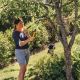 3. Fiskars LX92 String Pruner