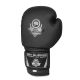22. 10oz Boxing Gloves - Black Master - Valor Series