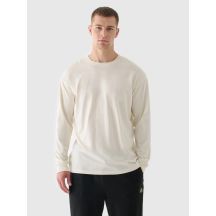 Men's oversize longsleeve with print 4F 4FRAW24TLONM507-83S