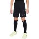 10. Nike Dri-Fit Academy 25 Jr Shorts FZ9784 010