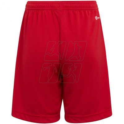 2. Adidas Entrada 22 Jr H57501 shorts