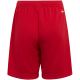 2. Adidas Entrada 22 Jr H57501 shorts