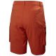 6. Helly Hansen Move Qd Shorts 2.0 M 53977 308