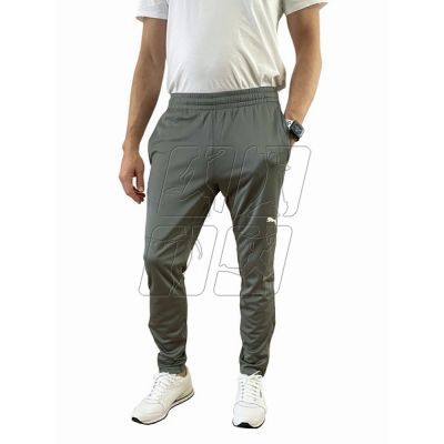 6. Puma Training M 65738 013 pants