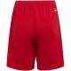 11. adidas Entrada 22 Jr H57501 Shorts