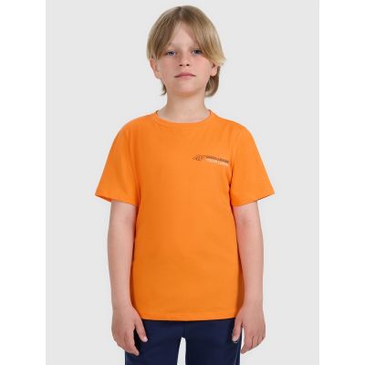 3. Boy's regular printed T-shirt 4F 4FJWAW25TTSHM2415-70S