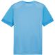 4. Puma teamGoal Matchday Jersey M 705747 18