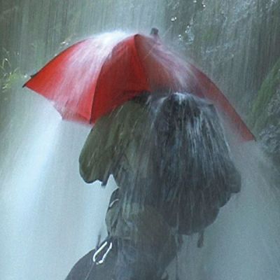 10. EuroSCHIRM Birdiepal outdoor Red Fiberglass Polyamide Full Size Rain Umbrella