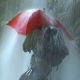 10. EuroSCHIRM Birdiepal outdoor Red Fiberglass Polyamide Full Size Rain Umbrella