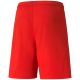 2. Puma team shortsLIGA M 704924 01