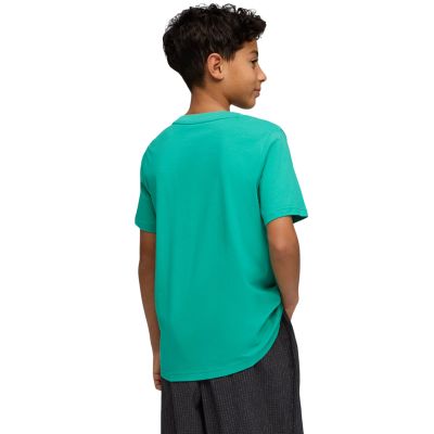 4. Puma ESS Small No. 1 Logo Centered Tee for Kids Green 692975 40