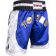 4. TOP TEN kick light shorts (WAKO APPROVED)
