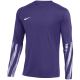 3. Nike Dri-Fit Park V Stadium Men's T-Shirt Purple HV8314 507