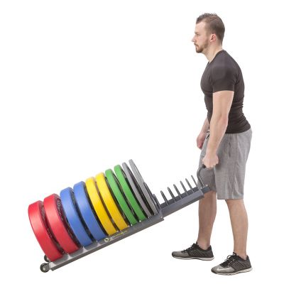 15. HMS Premium WPT01 Weight Cart