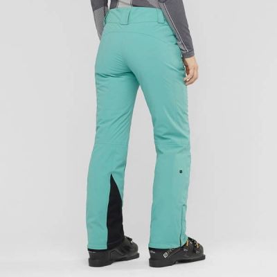 2. Salomon THE BRILLIANT Snowboard Pants W LC13940 00
