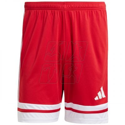 Shorts adidas Squadra 25 M JE7745