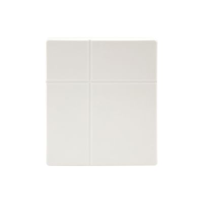 2. LevelOne Direct/Dual Polarization 15dBi 5GHz Panel Antenna