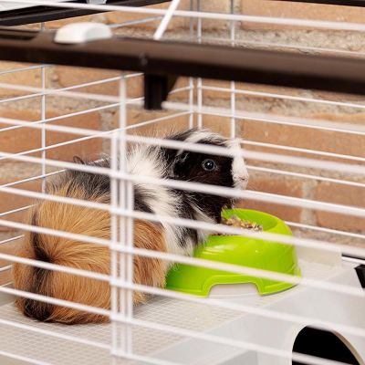 5. CASITA 80 (x1) - cage for guinea pigs and rabbits