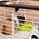5. CASITA 80 (x1) - cage for guinea pigs and rabbits