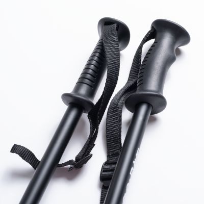 3. SNOWFLAKE JR Kids' Poles