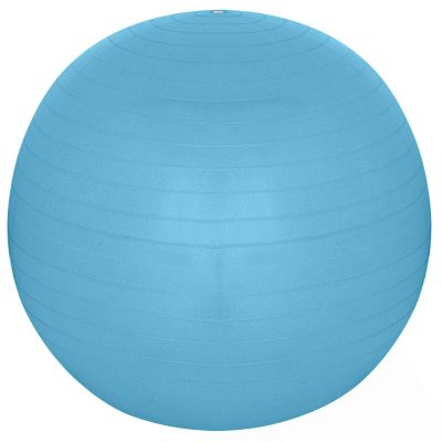 9. FITNESS BALL 65CM ANTIBURST BLUE