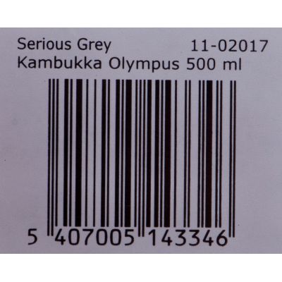 Kambukka Olympus 500 ml Thermal Mug, Serious Grey