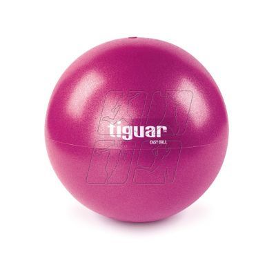 2. Tiguar easyball gym ball TI-PEB025