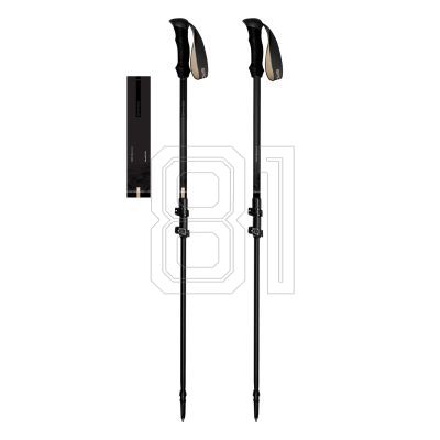 Spokey Trail trekking poles SPK-944827
