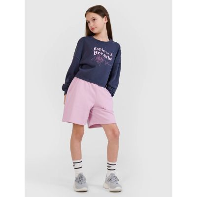 3. Girls' sweatshirt without a hood, 4F 4FJWSS25TSWSF1483-22S