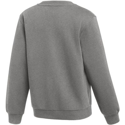 4. Nike Park 26 Fleece Crew Kids' Sweatshirt Gray IB1188 063