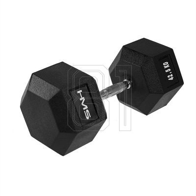 38. HMS HEX PRO 42.5 KG dumbbell