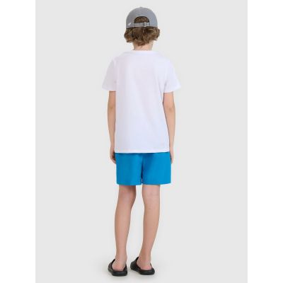 2. Boys' boardshorts 4F 4FJWSS25UBDSM159-33S