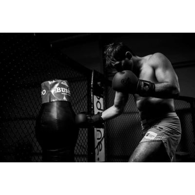 14. 10oz Boxing Gloves - Black Master - Valor Series