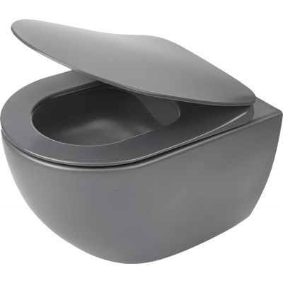 Rimless toilet bowl with seat