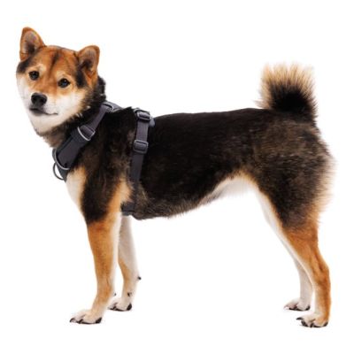 6. Ruffwear 30503-042M Dog / Cat Harness M Grey Nylon, Polyester Dog Non-stretch Harness