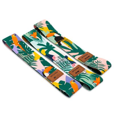 Spokey Home Jungle SPK-941536 Training Band Set