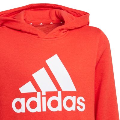 14. Adidas Essentials Big Logo Hoodie Jr GN4037 sweatshirt