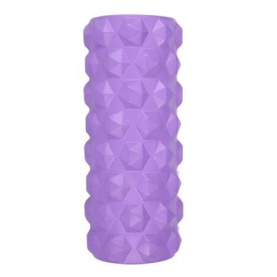 7. Fitness Roller HMS PURPLE FS107 