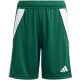7. adidas Tiro 24 Jr IT2409 Shorts
