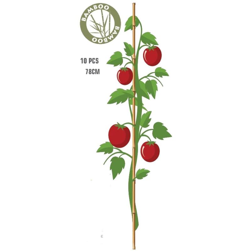 10. PROGARDEN BAMBOO PLANT SUPPORT 78 CM 10 PCS