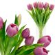8. BOUQUET OF 7 LIGHT PURPLE TULIPS 31 CM LIFE-LIKE SPRING DECORATION