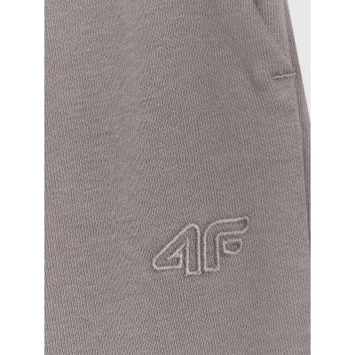 6. Boys' jogger sweatpants 4F 4FJRAW25TTROM1634-22S