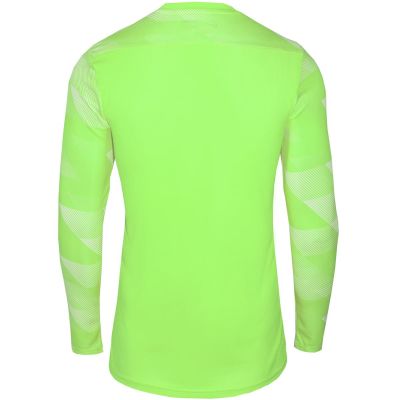 3. Nike Dry Park IV JSY LS GK Jr CJ6072-702 Jersey