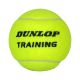 2. Dunlop Training Ball