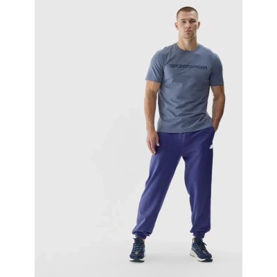 6. Sweatpants 4F M 4FWAW24TTROM1277-31S